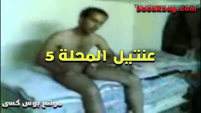 عنتيل سكس مصري جامد المحله وهو نازل نيك فى كس الشرموطه بتاعته