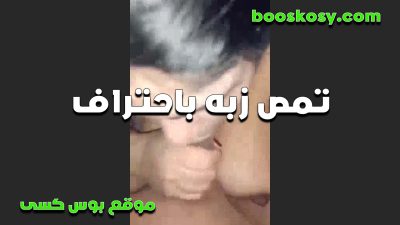 متناكه هيجه سكس تانجو جديد تمص زبه وتلعب في بضانه وتحط زبه في كسها