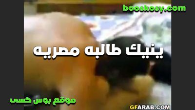 طالبه هايجه سكس مصري بتتناك في بيت الطالبه وبتمص زبه وبيلعب في كسها
