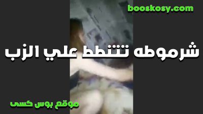 متناكه تتناك xnxx xxnxx مصري وهي مبسوطه وهي تتنطط علي زبه وتمص زبه ويجبهم في بوقها