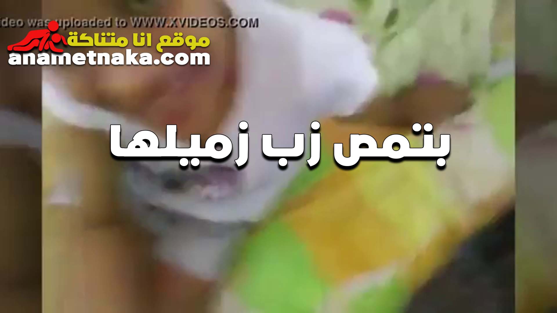 قحبه تمص سكس مصري زب زميلها الشرموطه في البيت عندها بتقوله عيزاك تنيك وتدلع كسي