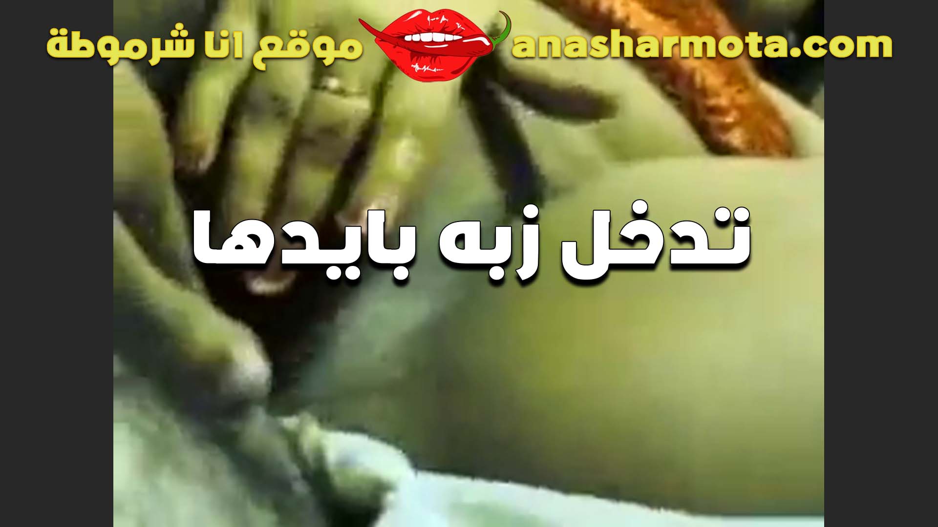 لبوه خبره سكس بوس ومولعه تمسك زبه وتدخله في كسي بتقوله مش قادره استحمل هيجان كسي عايزه زبك