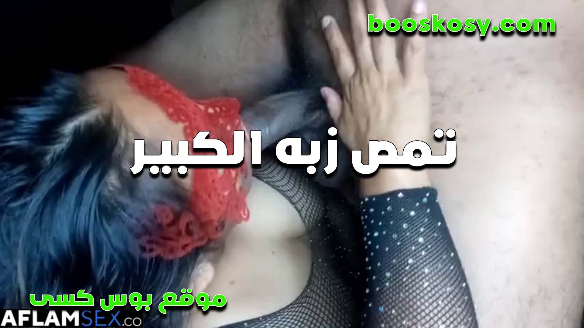لبوه تمص سكس مصر زبه الكبير والخول راكب على وشها بزبه وشغاله لعب في البيض بمتعه فاجره