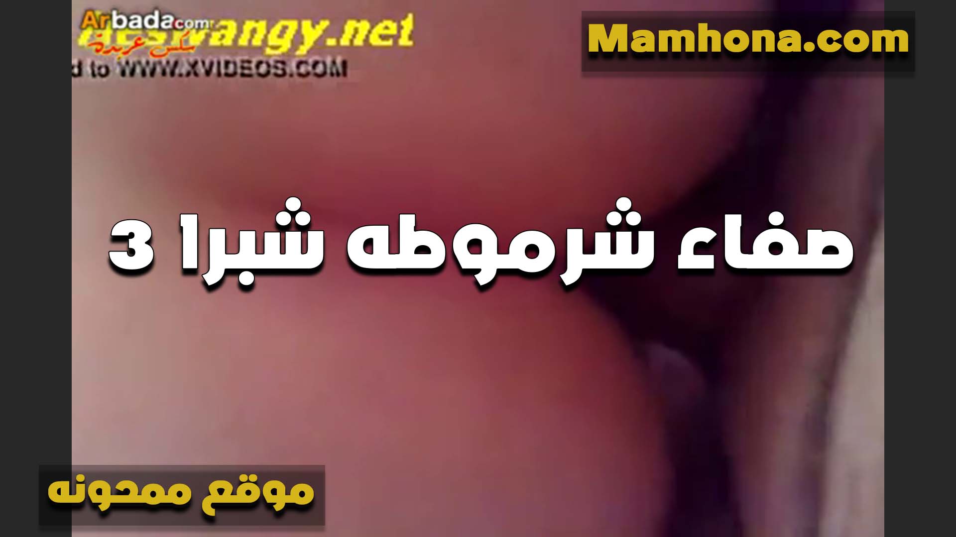 بتقول سكس مصر دايما بتخيلك معايا وبتنيك طيزي الشرموطه مع حبيبها بتقوله متبعدش عن طيزي خالص
