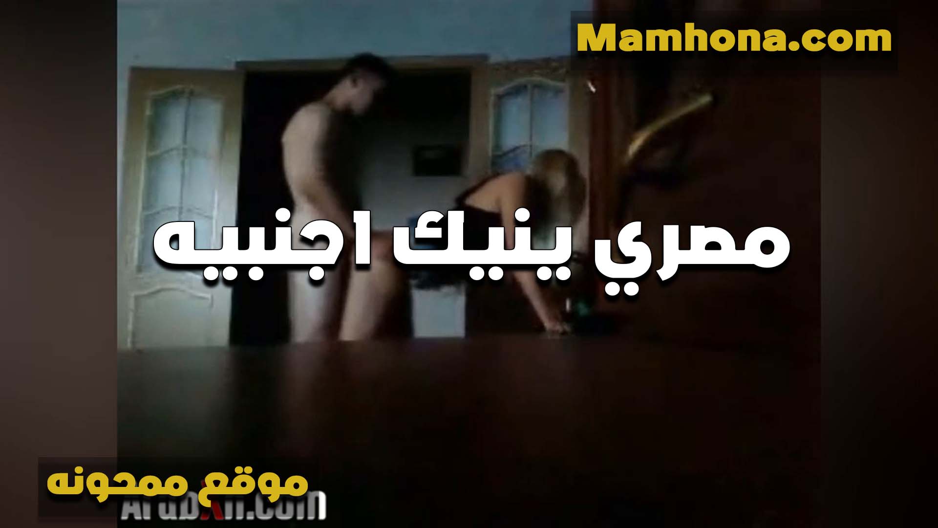 مصري مفنقس سكس مصر لبوه اجنبيه ومدخل زبه في طيزها وكسها شغال نيك وفشخ في الاتنين