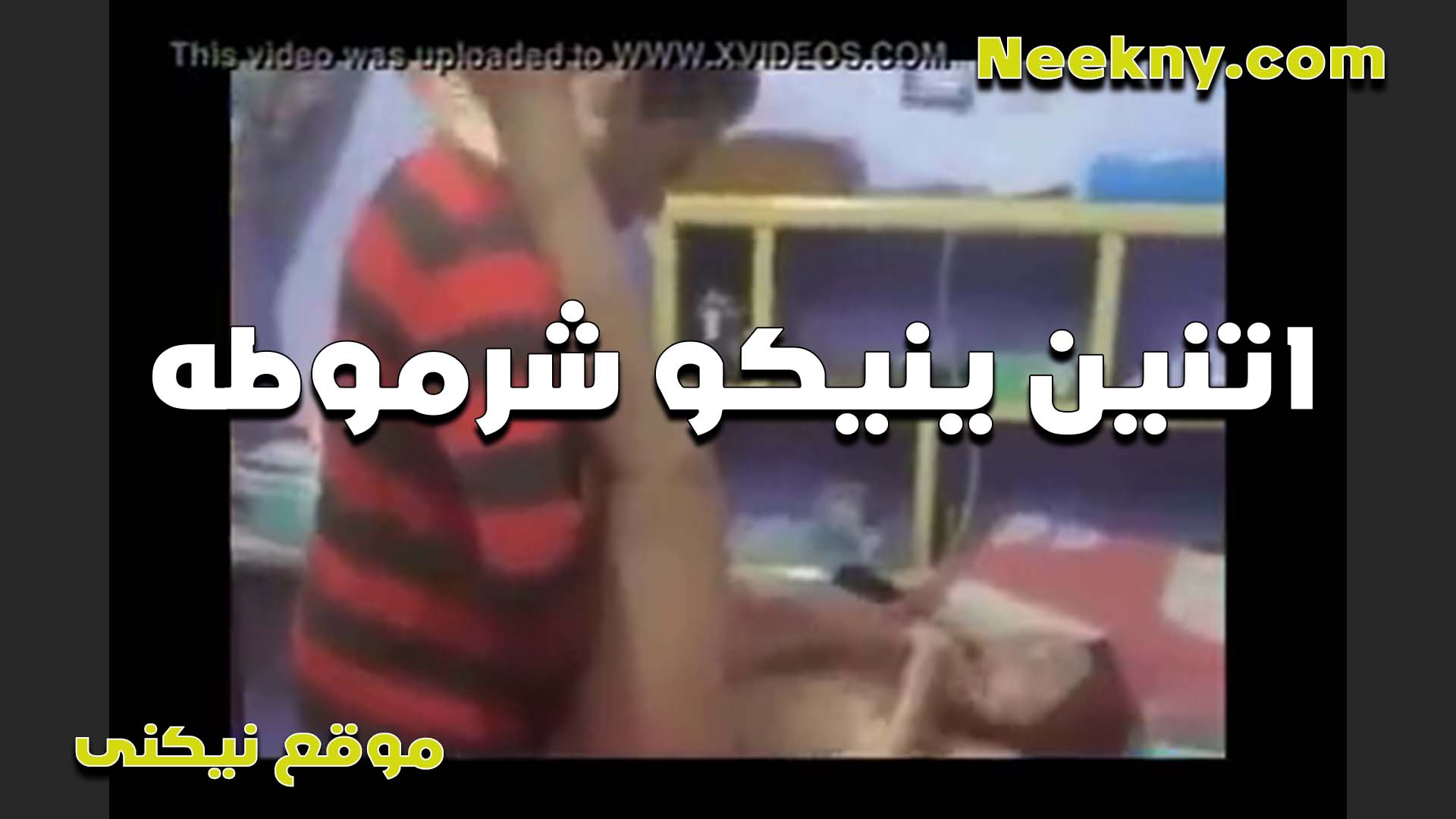 هو وصاحبه الخولات سكس مصري لبن جايبين شرموطه ينيكوها الاتنين مع بعض وبيتبدلو على كسها