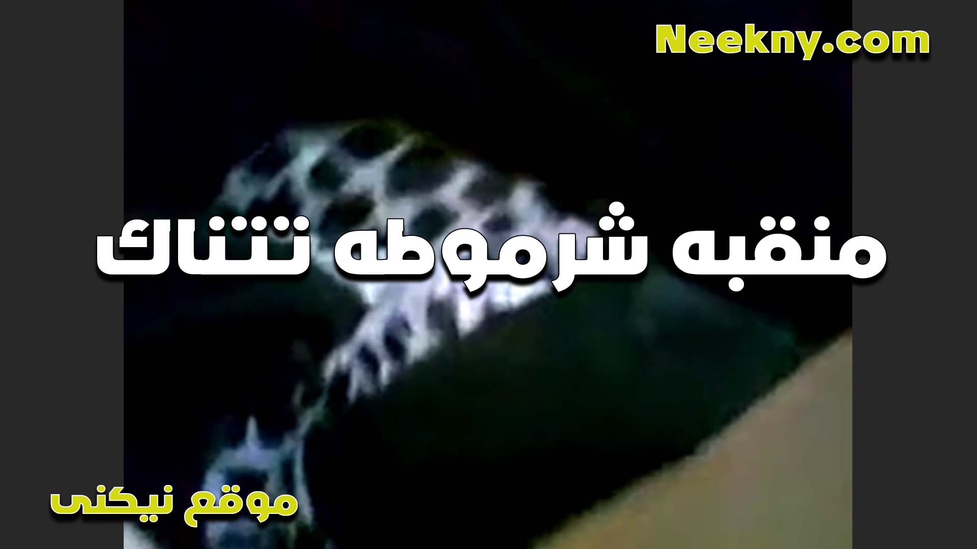 سكس مصري عاهرة محجبة، جنس مصري، رجل يمارس الجنس مع عمته، وهي تتعرض للجنس من قبل عشيقها، تقول له، “قضيبك جيد جدًا، أيها الوغد!”