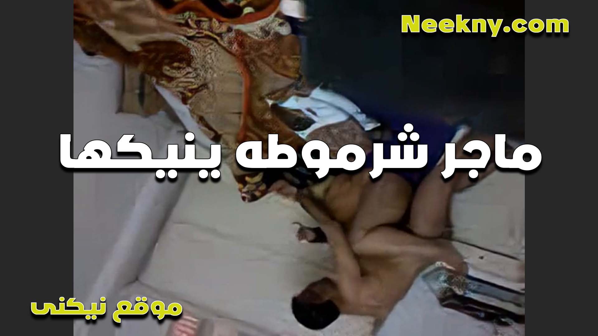 ماجرله شرموطه الخول سكس مصري جامد وجايبها البيت عشان تتناك ويمتع زبه الهيجان ويريحه نيك في كسها