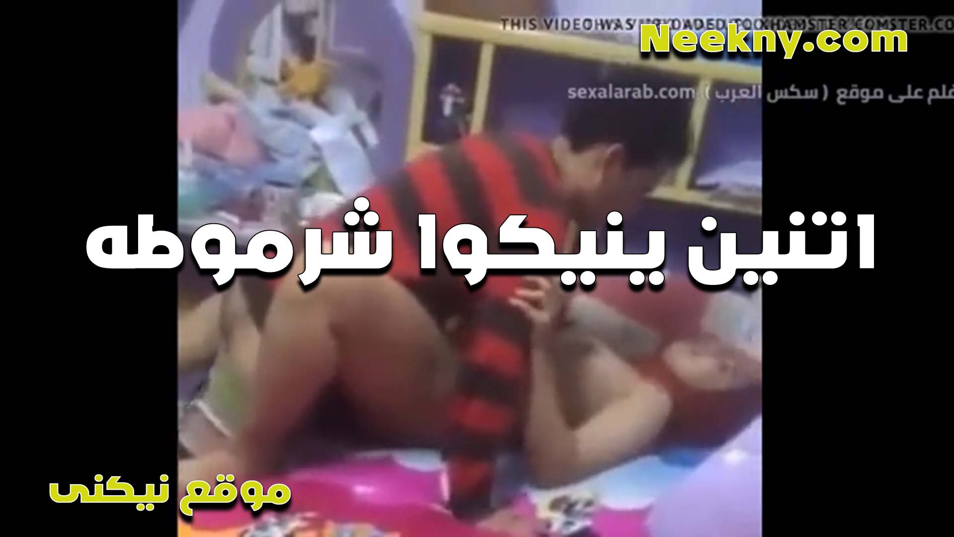 داخل بين وراكها الخول سكس مصري جامد بتصرخ وشغال تخبيط بزبه في كسها لما مكيفها على الاخر الشرموطه مولعه خالص