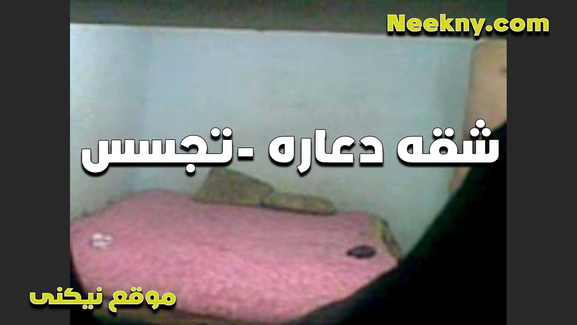 لبوه سكس مصري جامد بتصرخ في شقه دعاره بتتناك من الزبون وبتبسطه اوي من كسها السخن بتقوله انا معلمه في النيك