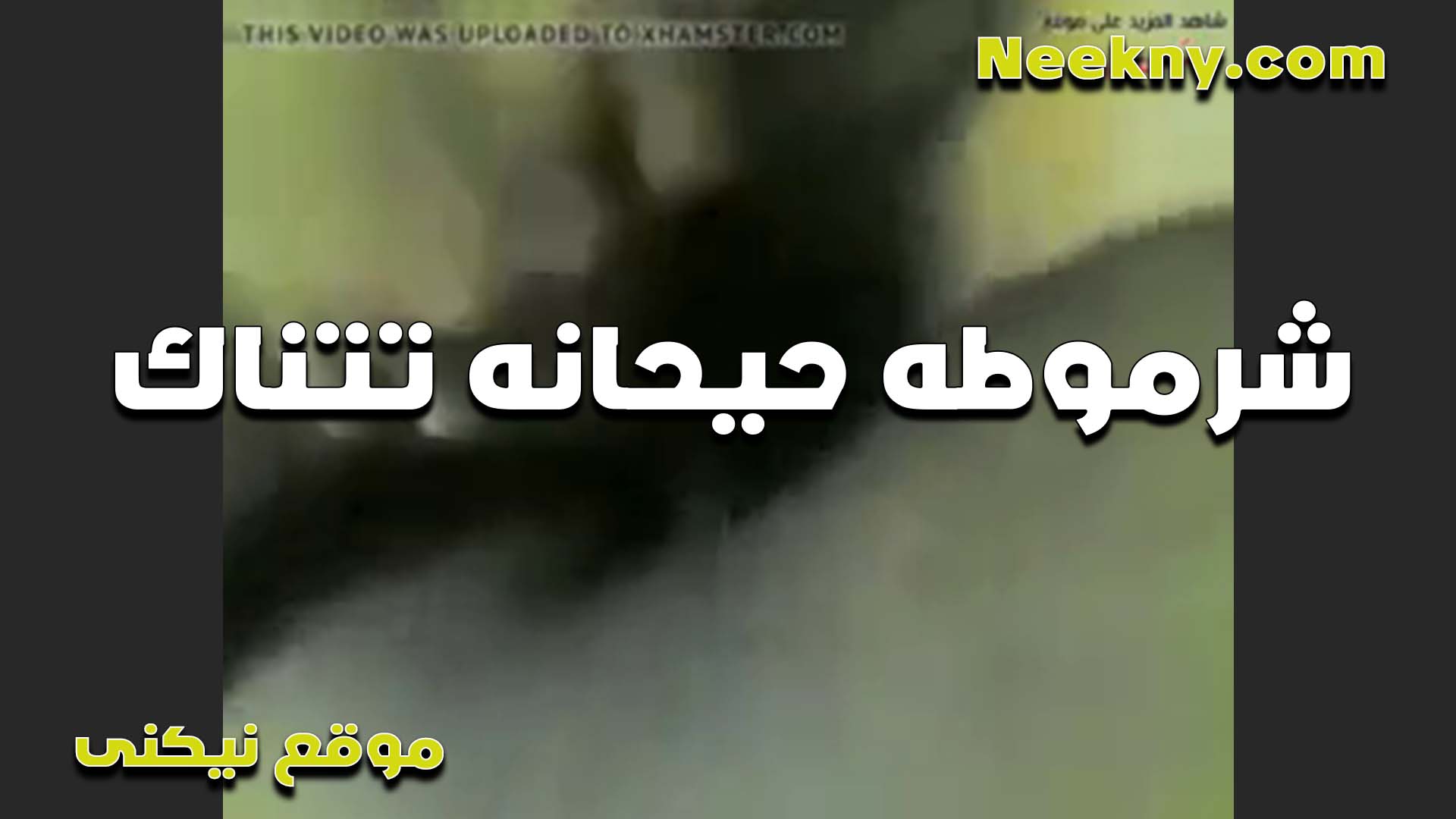 شرموطه هيجانه سكس مصري بتتناك من الفحل بتقوله افشخ كسي لما ينزل لبنه على زبك الطويل ده
