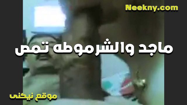 الشرموطه والخول ماجد تمصله زبره المولع بتقوله هو كبر اوي كده ليه سكس مصري حصري مش عارفه امصه وادخله كله