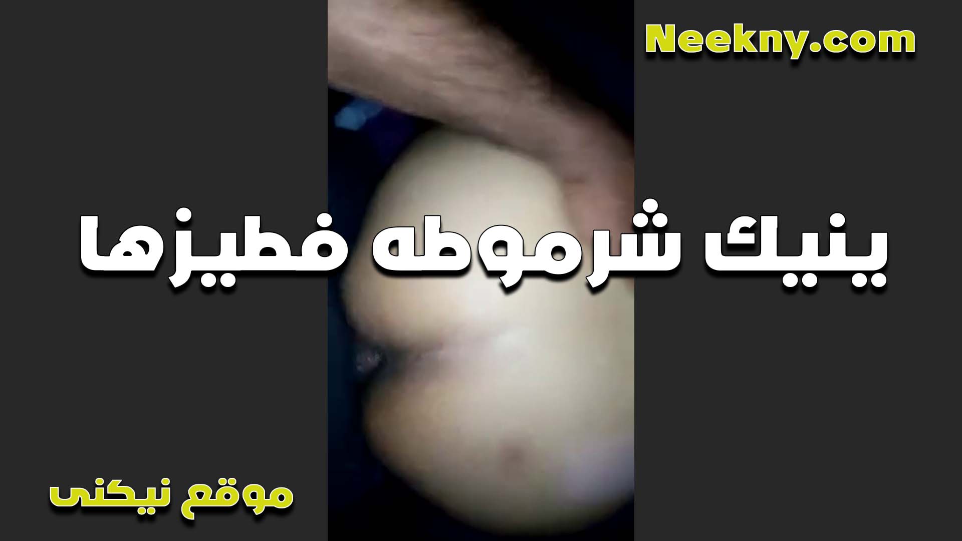 تتناك في الخرم الشرموطه امل سكس مصري حصري تعشق نيك الطيز على طول واكلاها وعايزه تريحها