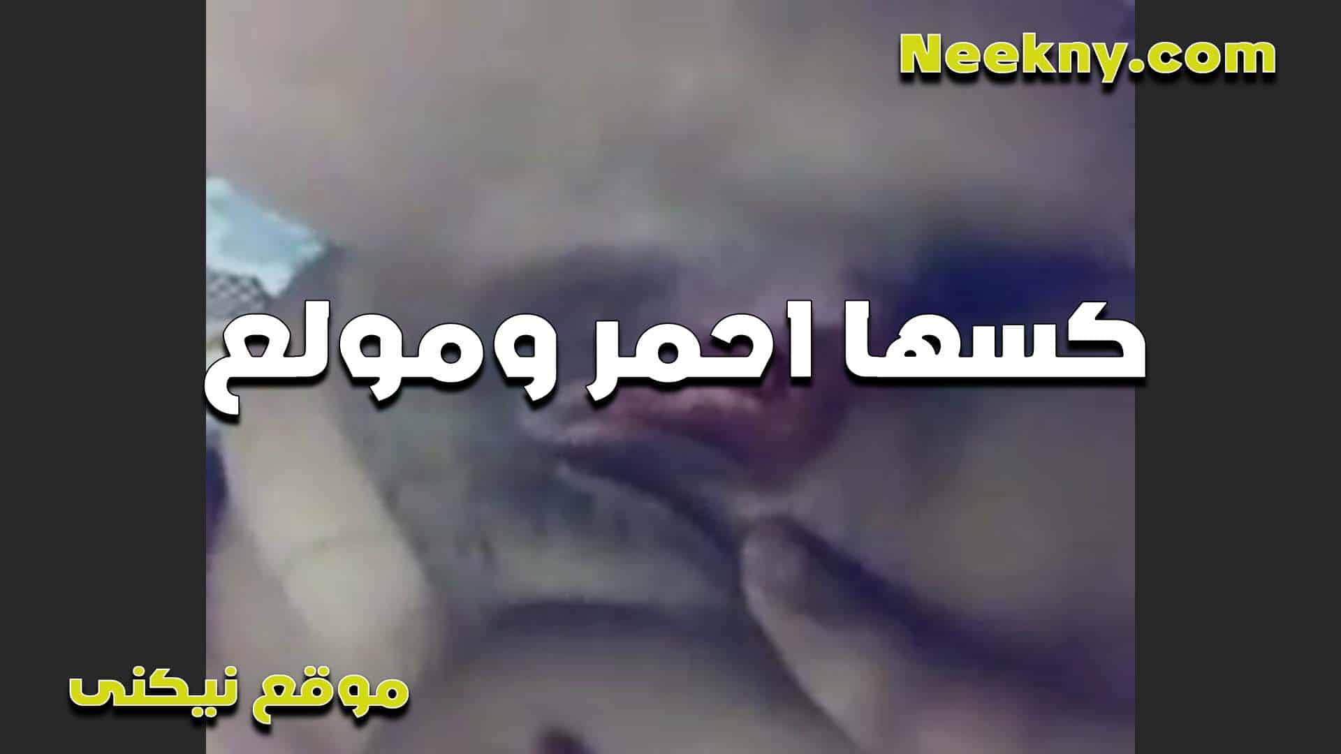 كسها احمر مولع سكس مصري جامد وتفتحه وتعرض كسها من جوه بتقول شايف اد ايه هو هيجان على زبك