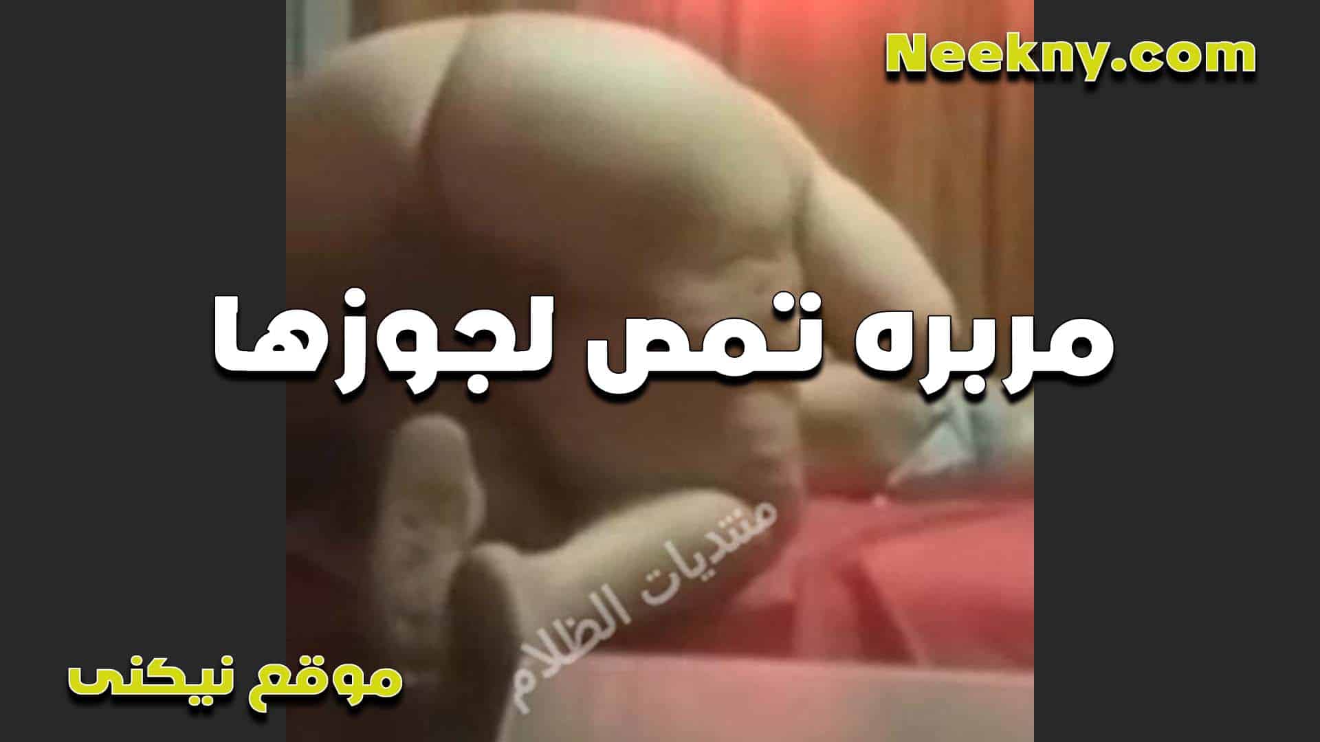توطي على الزبر سكس مصري جامد وتمصه وتفنقس بطيزها المربربه عايزه تمتع نفسها من زبه المولع