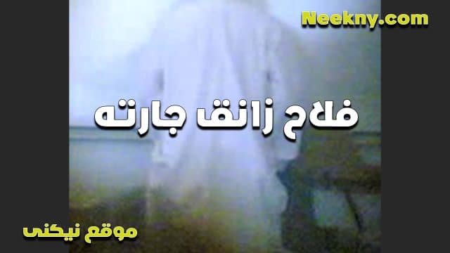 الفلاح الخول زانق جارته عنده في الشقه لما راحت تستلف منه فلوس فشخ كسها نيك ومتع زبه xnxxسكس مصري