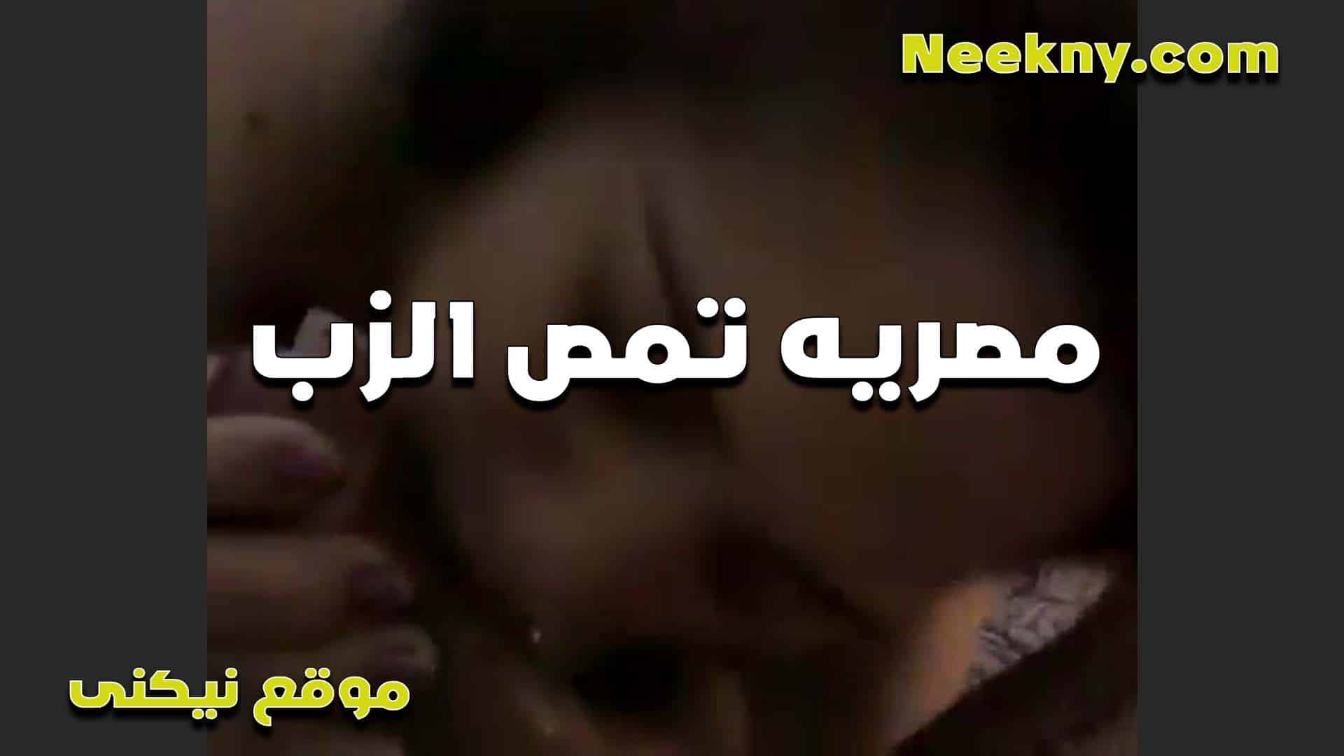 تمص الزب بفن وشرمطه اللبوه حيحانه اوي وكسها بينزل عسل هي وبتمص الزب xnxxسكس مصري