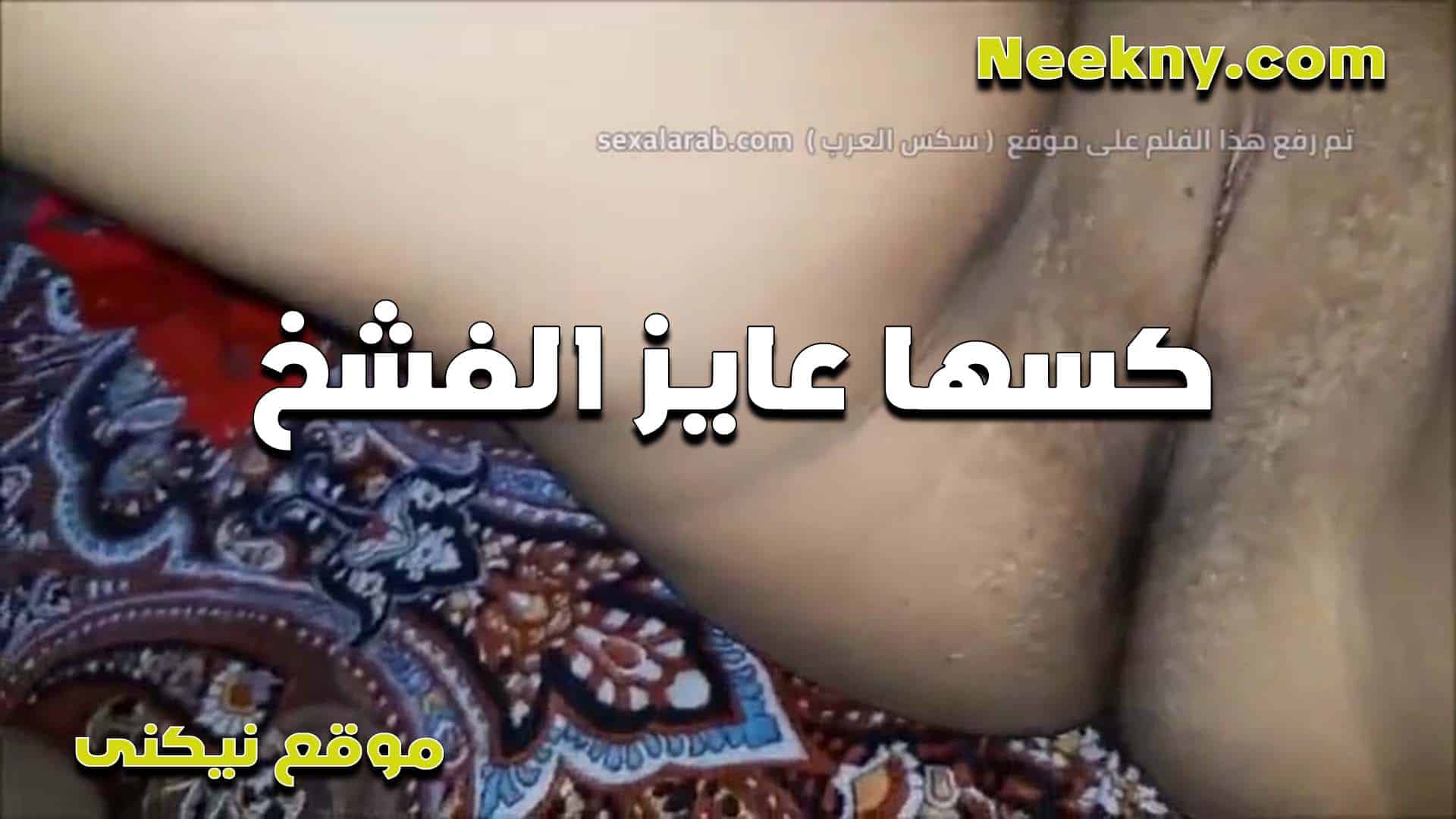 بتقول كسي عايز يتفشخ محروم من الزبر ونفسو اوي في اللي يكيفه نيك فاجر بزازي بزازى موقع bzazy