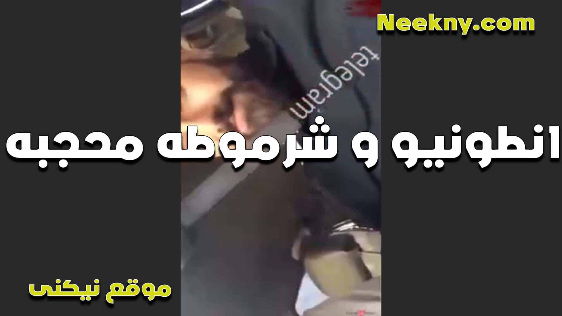 انطونيو والشرموطه المحجبه سكس امهات ولحي الكوسيس بلهفه وولعان الشرموطه هيجانه اوي