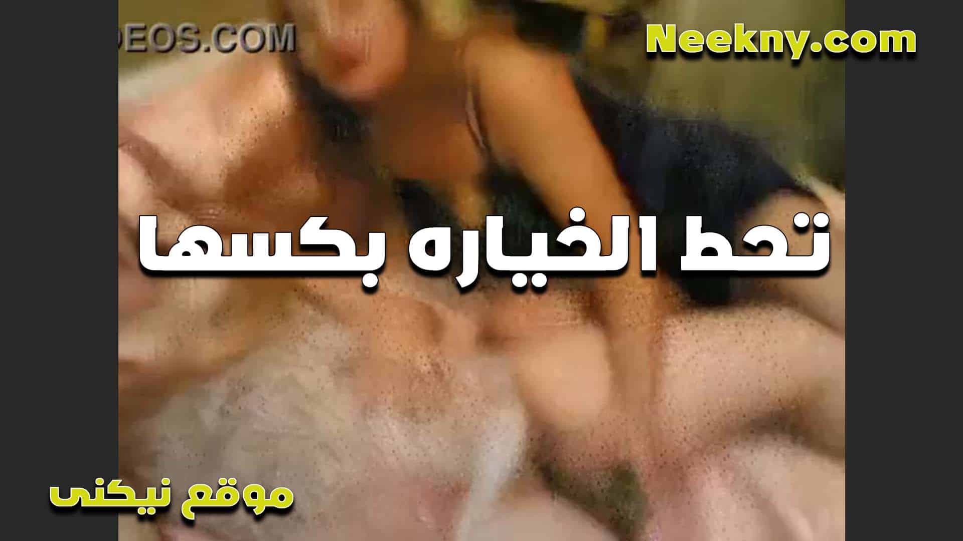 جوزها مش مكيف سكس مصري ها اللبوه تحط الخياره في كسها عشان تريح كسها التعبان