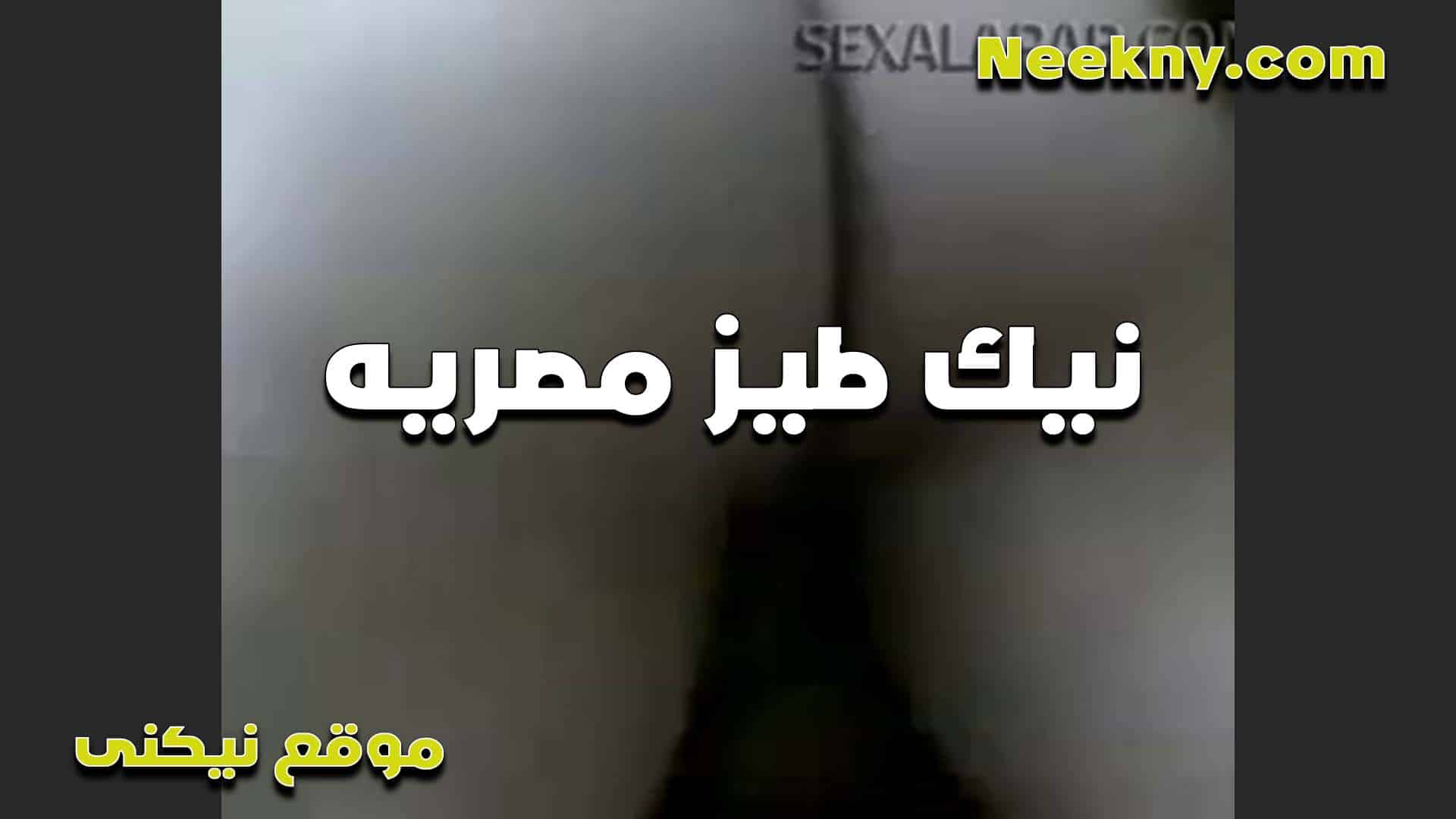 نيك طيز مصريه شرموط سكس مصري ه سخنانه على طول على الزب عايزه اللبن يغرق خرم طيزها