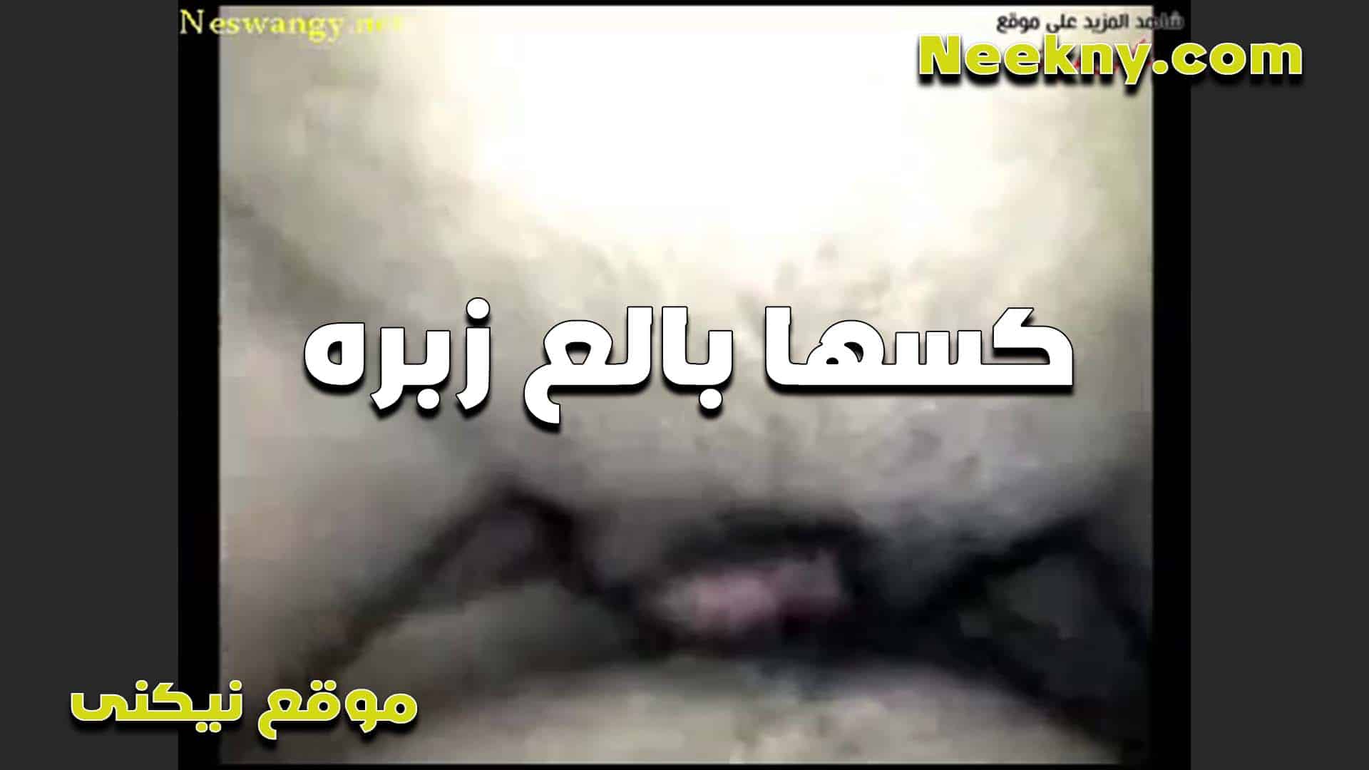 كسها بالع الزبر كله بتقوله ز سكس مصري برك صغير اوي على كسي ممكيفهوش يا عرص نيك جامد يا خول