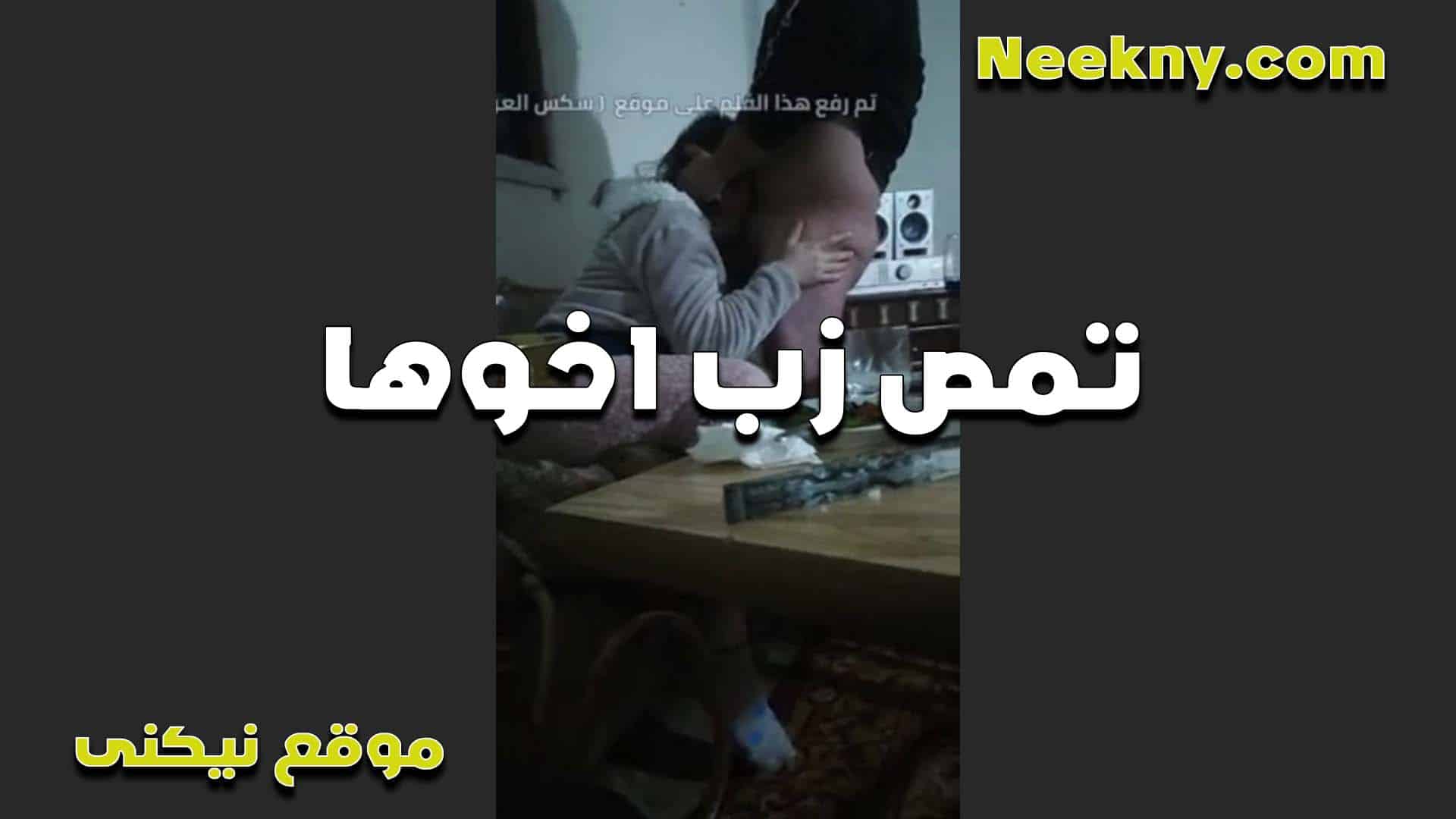 تمصله زبه الشرموطه لا شافته واقف ا سكس مصري وي عليها بتقوله انت عرص وبتهيج على جسم اختك الشرموطه