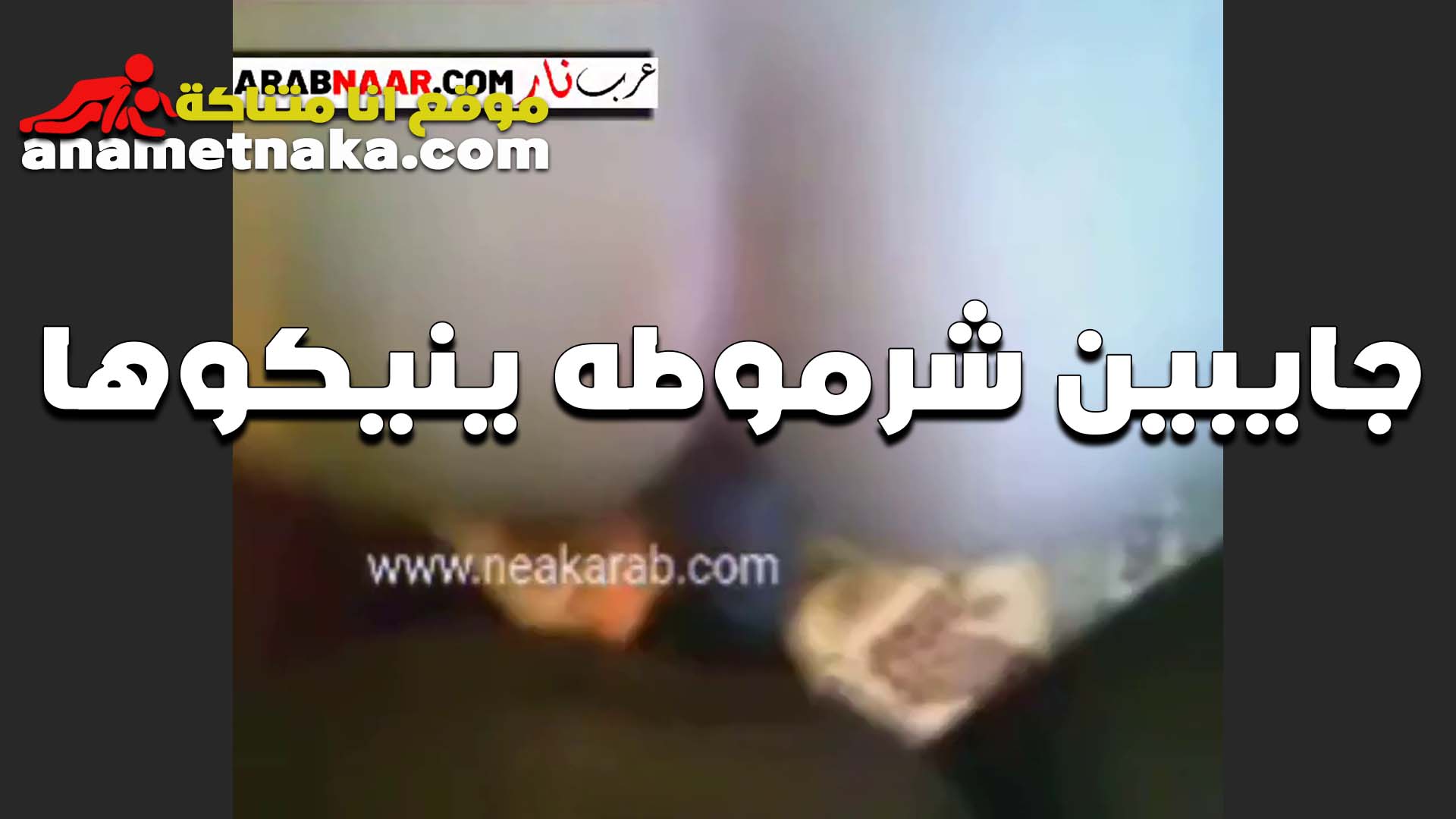 حفلة نيك جماعي علي شرموطه من عين شمس الفحول شقطوا لبوة سكس تانجو جديد و خدوها علي الشقه ينكوها المموس كسها اتفشخ من كتر النيك