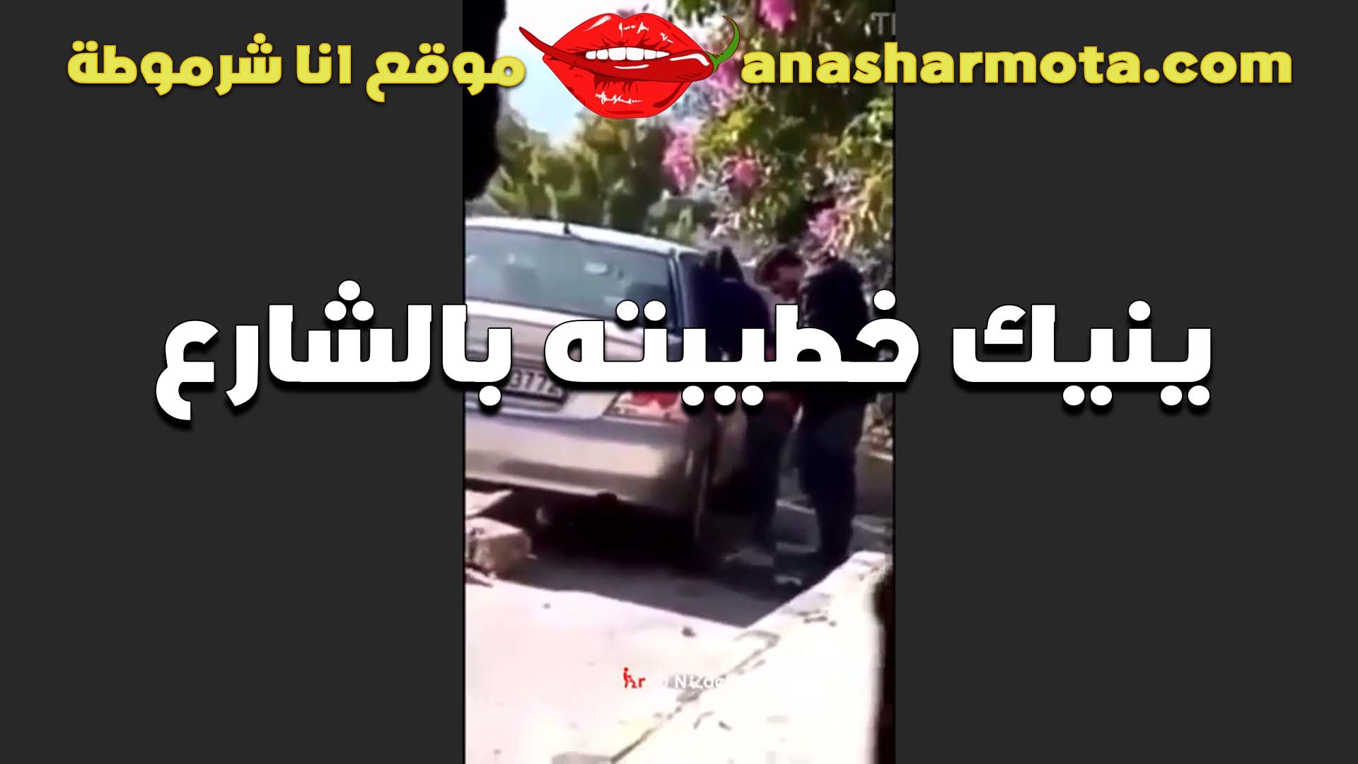 فضيحة فحل هايج ماسك خطيبتوا المموس في شارع عمومي جنب عربيه مفلقس طيزها المربربه و مخلعها البنطلون سكس بلدي و نازل رزع في كسها فشخها نيك