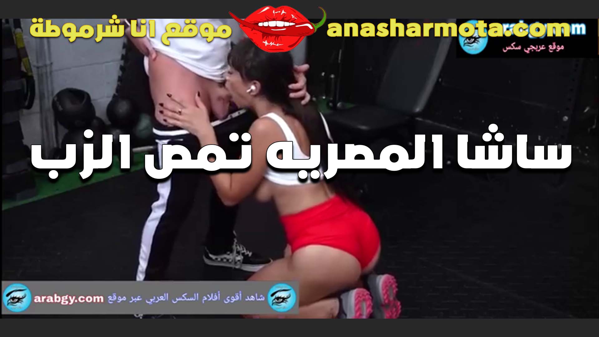 ساشا المصريه القحبه في ادث ظهور المموس هيجت المدرب عليها سكس مصر و نزلت علي ركبها تمص و تلحس في زبر و بضانوا مسكها فشخ كسها الجامد