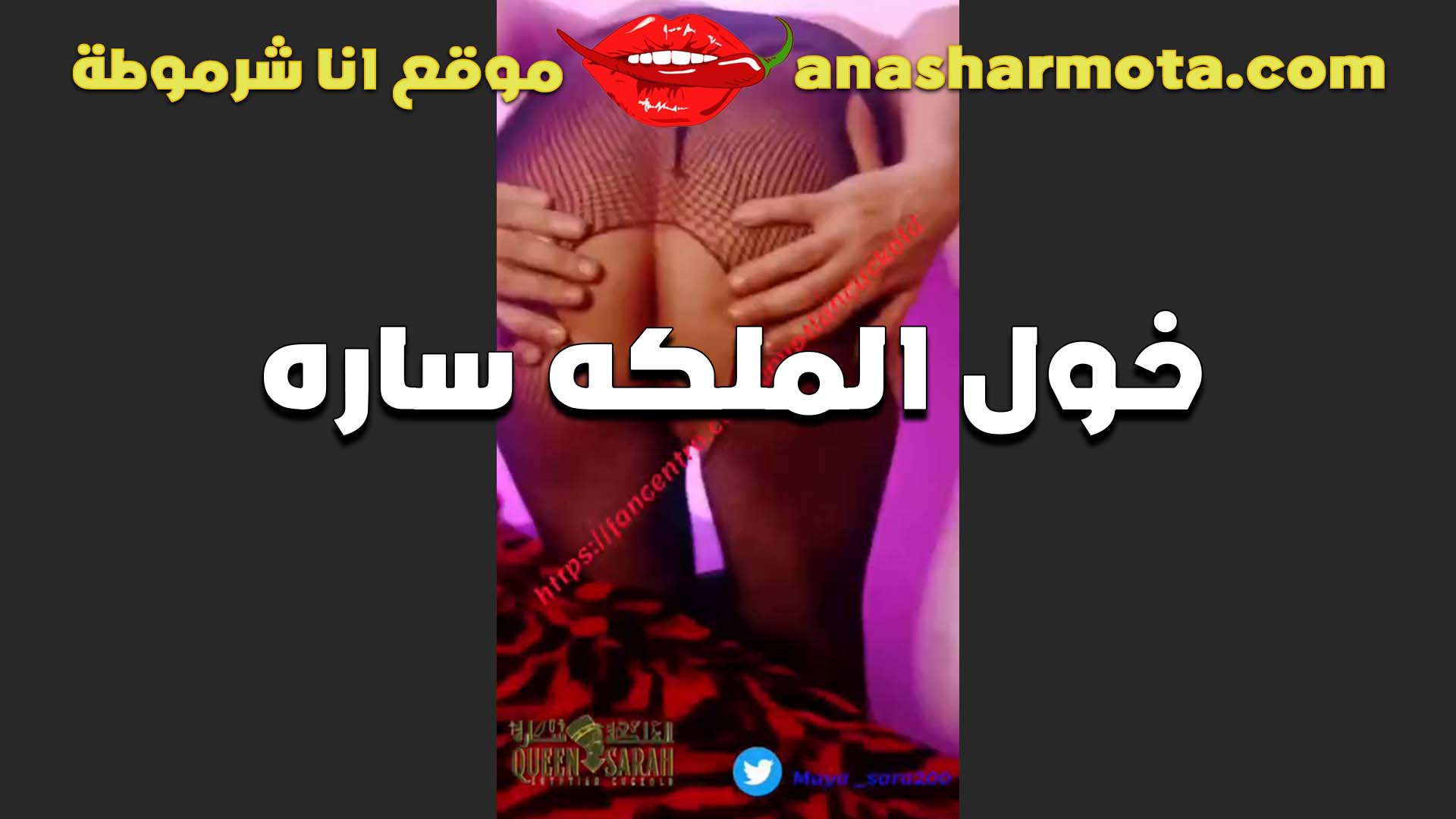 خول الملكه ساره الشرسه المموس طلع جوزها خول و بتطلع سكس مصر بيا لايفات تفشخ طيزوا و تهري نيك بزبر الصناعي قدام المتابعين