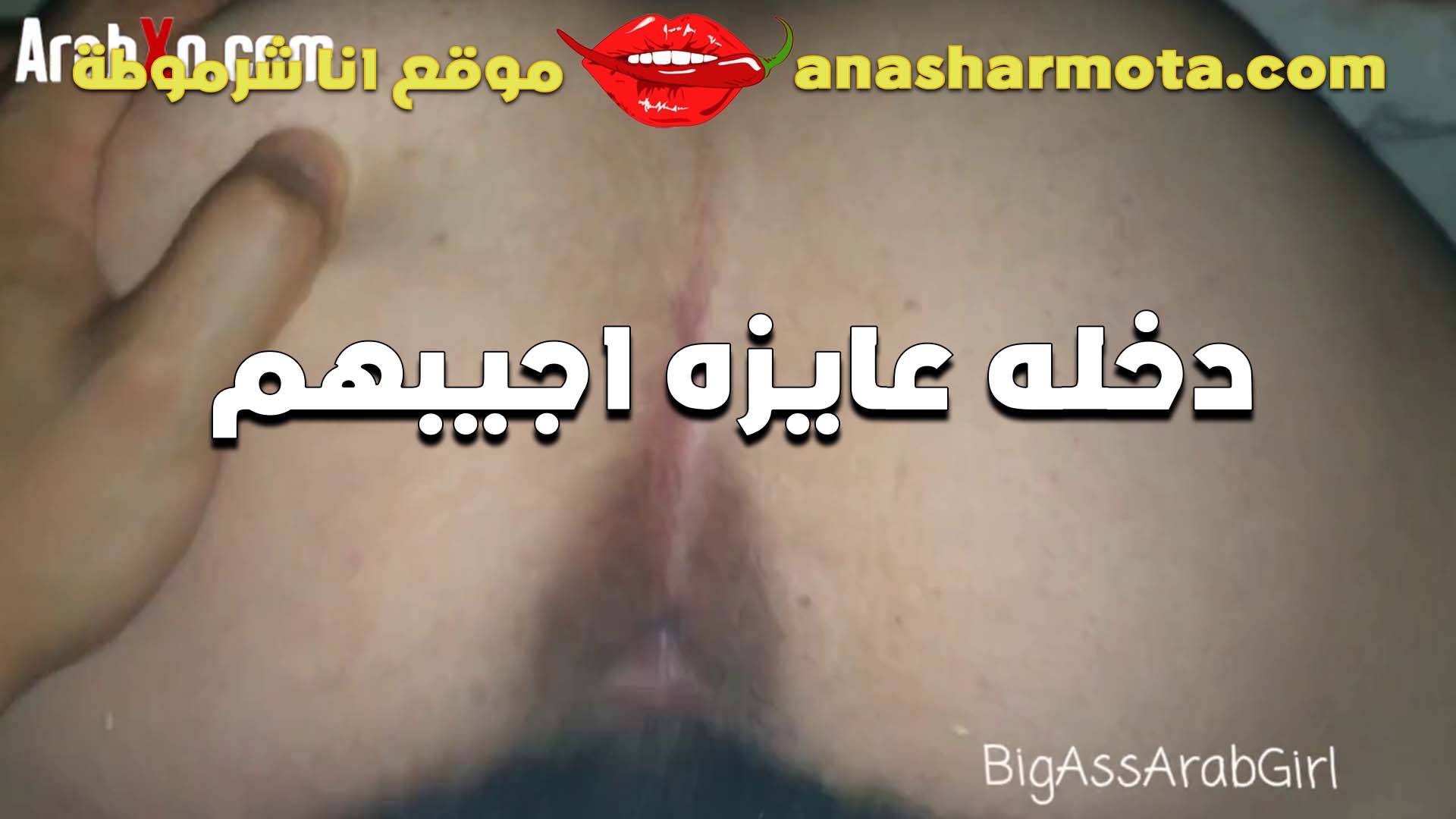 اللبوه حبيبه الممحونه مفلقس طيزها الجامده للفحل وشغال سكس شرمها رزع في كسها اول ما طلع زبر من كسها قالتلوا لا دخله عايزه اجبهم